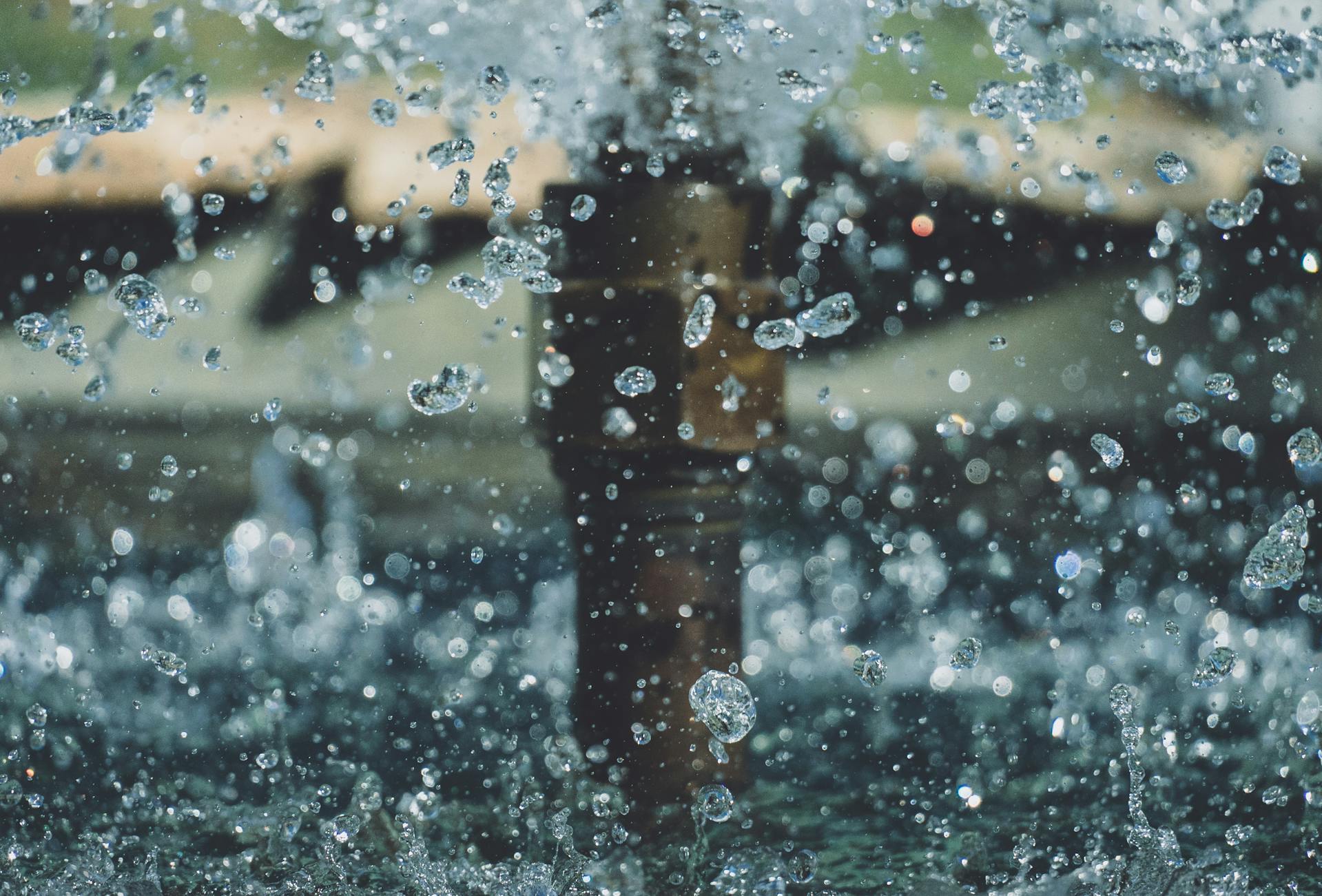 Photo of Water Drops